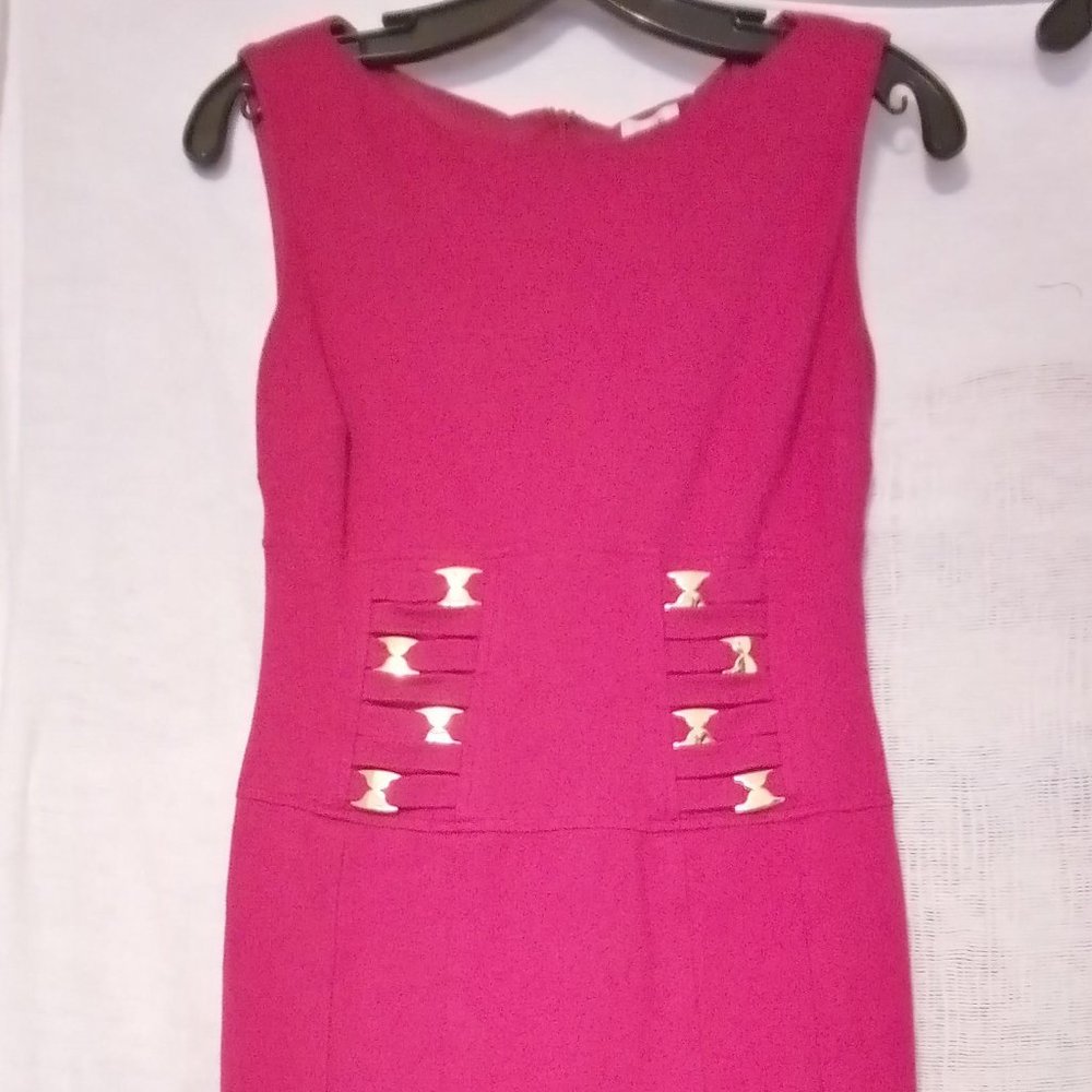 Cache Dress size 4